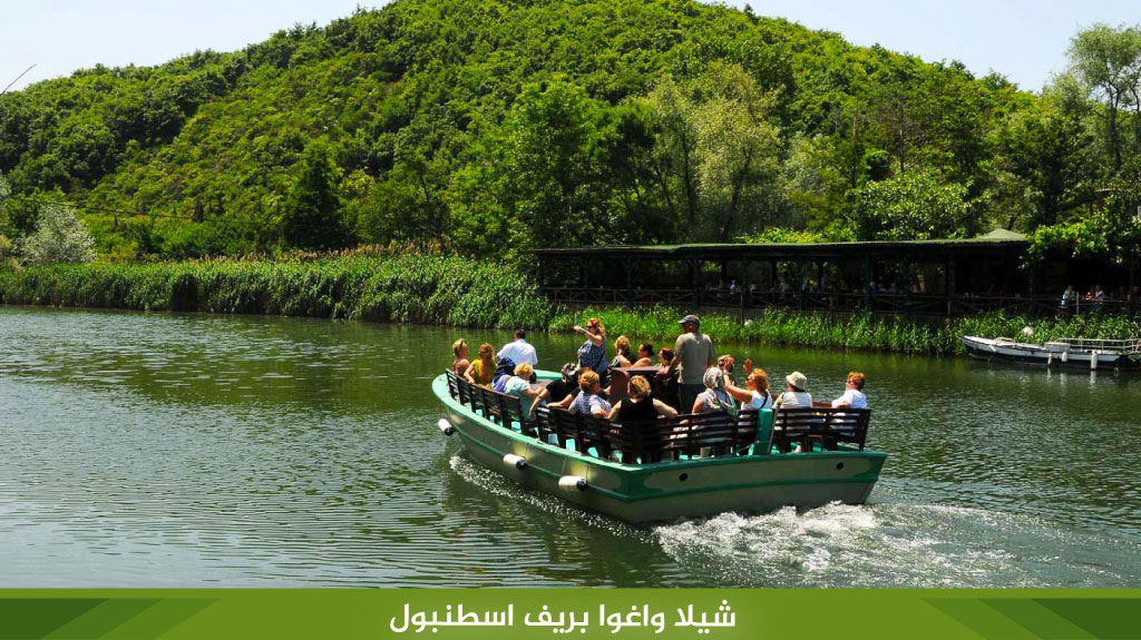 %D8%B4%D9%8A%D9%84%D8%A7 %D9%88%D8%A7%D8%BA%D9%88%D8%A7 %D8%A8%D8%B1%D9%8A%D9%81 %D8%A7%D8%B3%D8%B7%D9%86%D8%A8%D9%88%D9%84