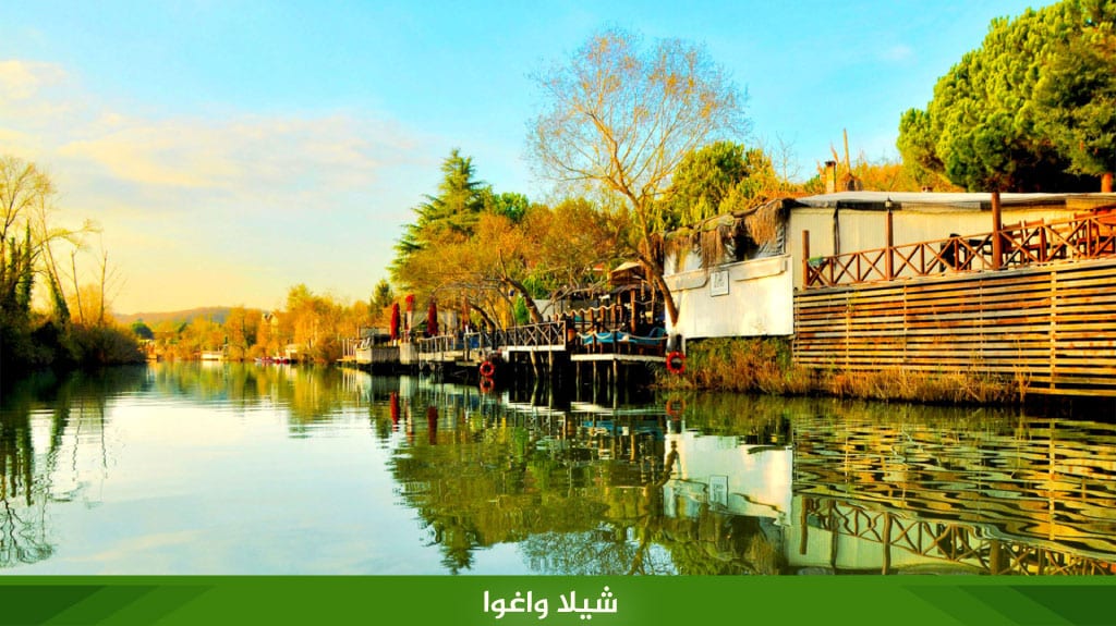 %D8%B4%D9%8A%D9%84%D8%A7 %D9%88%D8%A7%D8%BA%D9%88%D8%A7