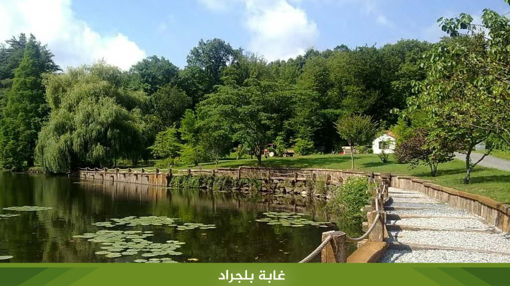 %D8%BA%D8%A7%D8%A8%D8%A9 %D8%A8%D9%84%D8%AC%D8%B1%D8%A7%D8%AF