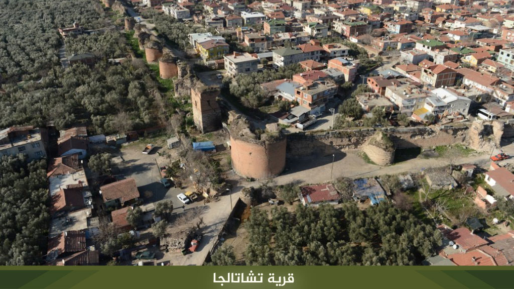 %D9%82%D8%B1%D9%8A%D8%A9 %D8%AA%D8%B4%D8%A7%D8%AA%D8%A7%D9%84%D8%AC%D8%A7