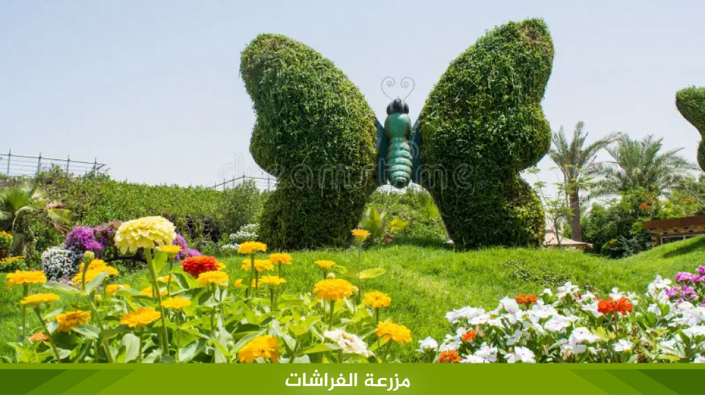 %D9%85%D8%B2%D8%B1%D8%B9%D8%A9 %D8%A7%D9%84%D9%81%D8%B1%D8%A7%D8%B4%D8%A7%D8%AA