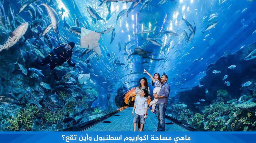 ماهي مساحة اكواريوم اسطنبول وأين تقع؟