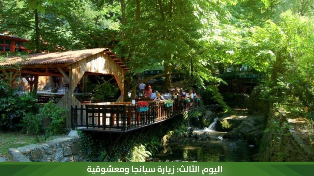 %D8%A7%D9%84%D9%8A%D9%88%D9%85 %D8%A7%D9%84%D8%AB%D8%A7%D9%84%D8%AB %D8%B2%D9%8A%D8%A7%D8%B1%D8%A9 %D8%B3%D8%A8%D8%A7%D9%86%D8%AC%D8%A7 %D9%88%D9%85%D8%B9%D8%B4%D9%88%D9%82%D9%8A%D8%A9