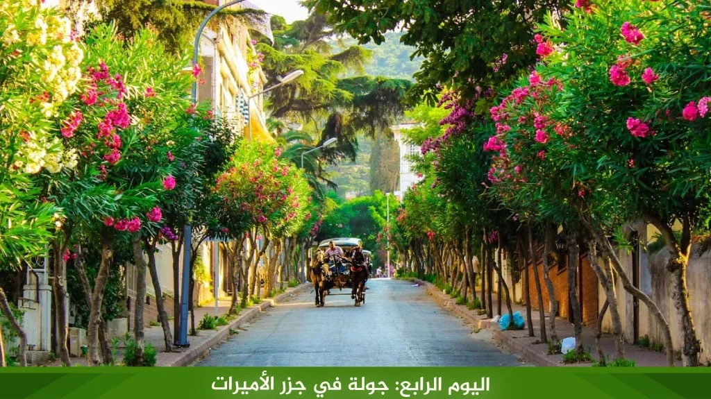 برنامج سياحي في تركيا 12 يوم 2026 – دليل شامل لاكتشاف اسطنبول وطرابزون 7 %D8%A7%D9%84%D9%8A%D9%88%D9%85 %D8%A7%D9%84%D8%B1%D8%A7%D8%A8%D8%B9 %D8%AC%D9%88%D9%84%D8%A9 %D9%81%D9%8A %D8%AC%D8%B2%D8%B1 %D8%A7%D9%84%D8%A3%D9%85%D9%8A%D8%B1%D8%A7%D8%AA