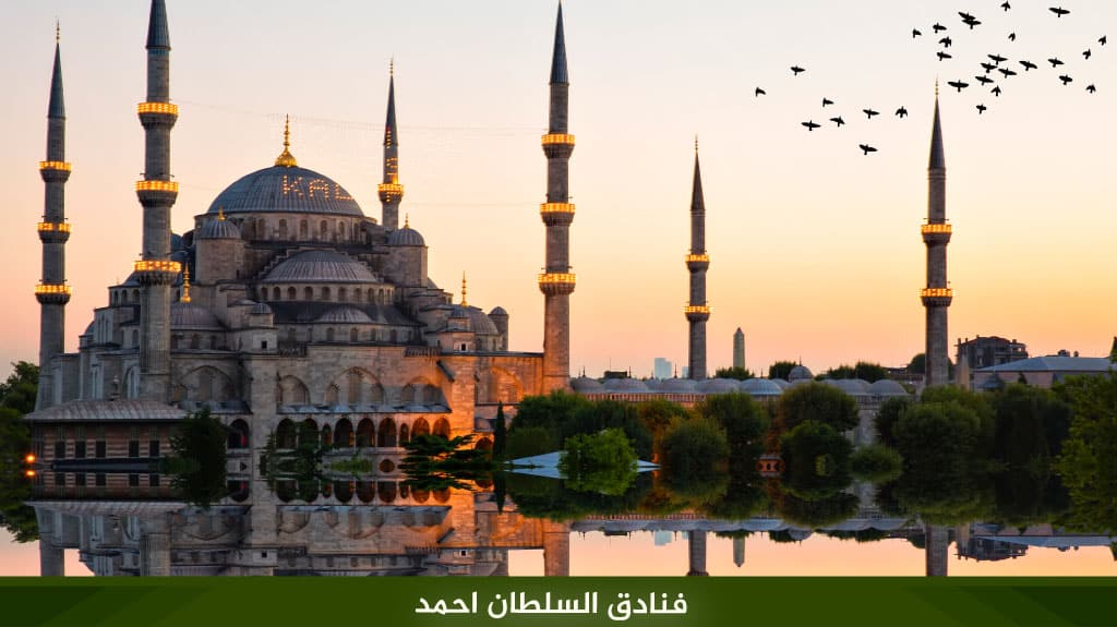 %D9%81%D9%86%D8%A7%D8%AF%D9%82 %D8%A7%D9%84%D8%B3%D9%84%D8%B7%D8%A7%D9%86 %D8%A7%D8%AD%D9%85%D8%AF 1