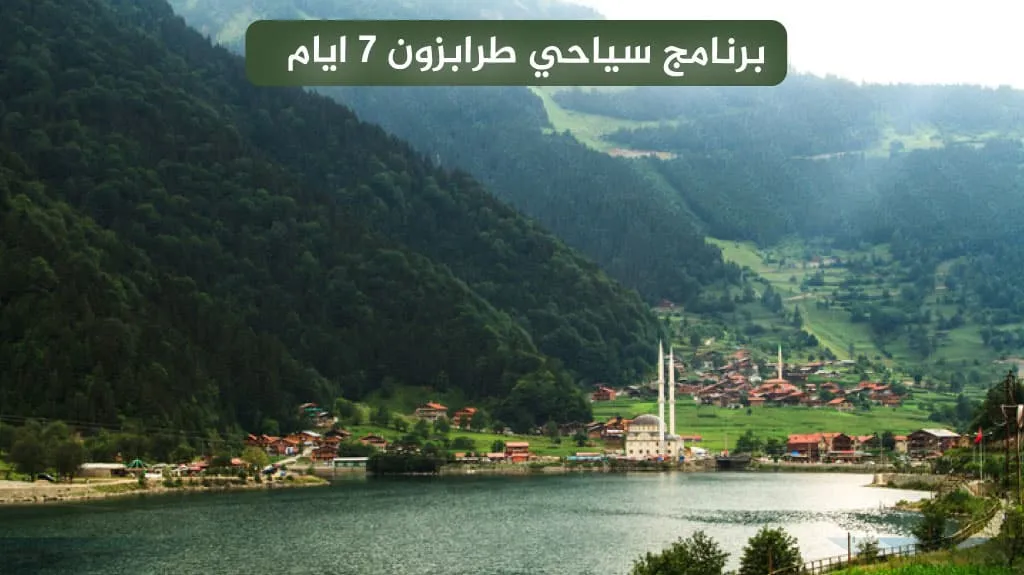 برنامج سياحي طرابزون 7 أيام 2026: جدول يومي مع السكن 10 خيار الإقامة في برنامج سياحي طرابزون 7 أيام