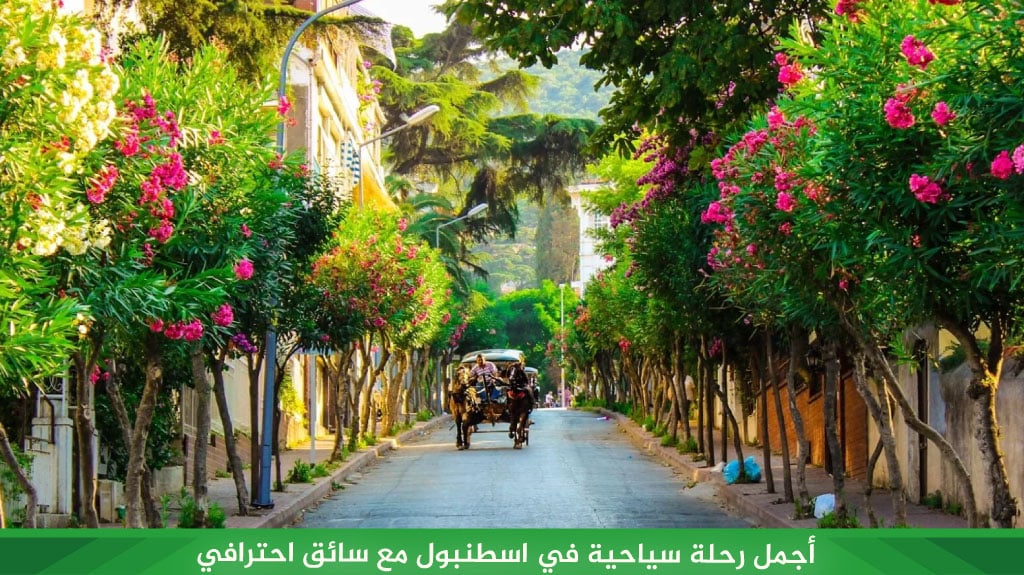 أجمل رحلة سياحية في اسطنبول مع سائق احترافي