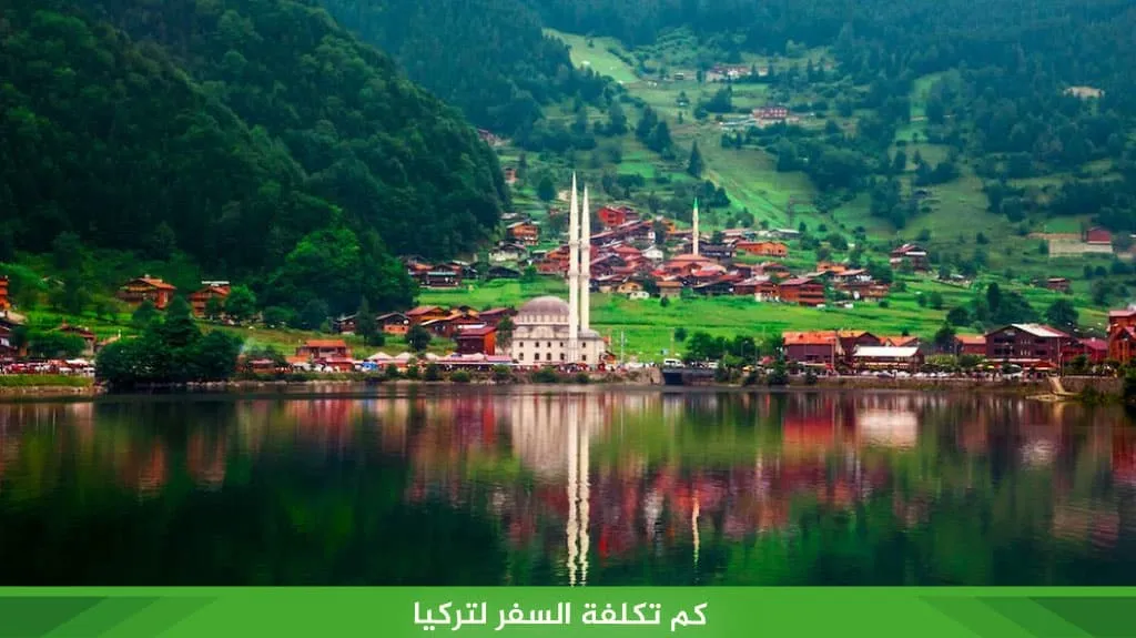 كم تكلفة السفر لتركيا