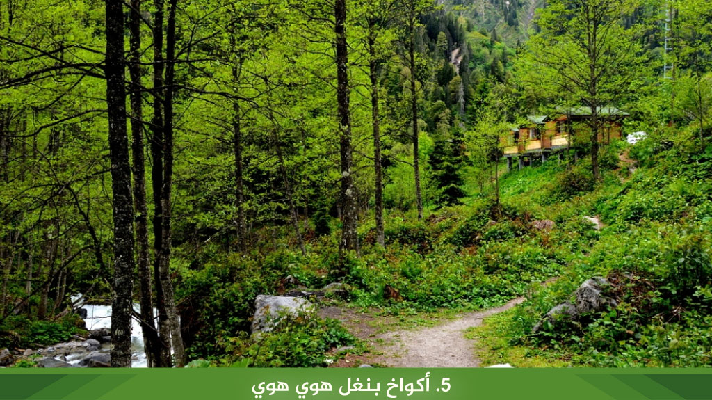 5. أكواخ بنغل هوي هوي