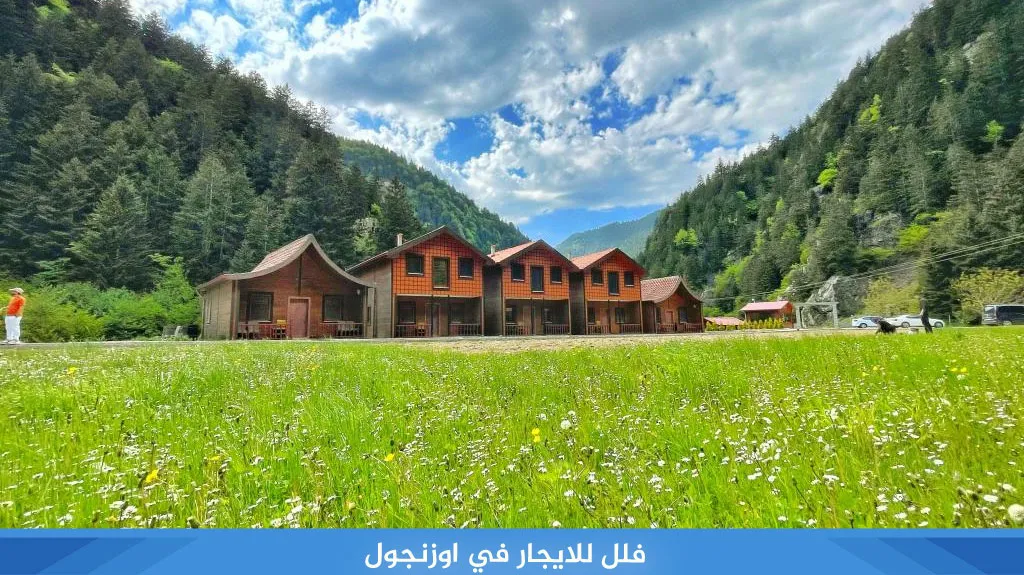 فلل للايجار في اوزنجول