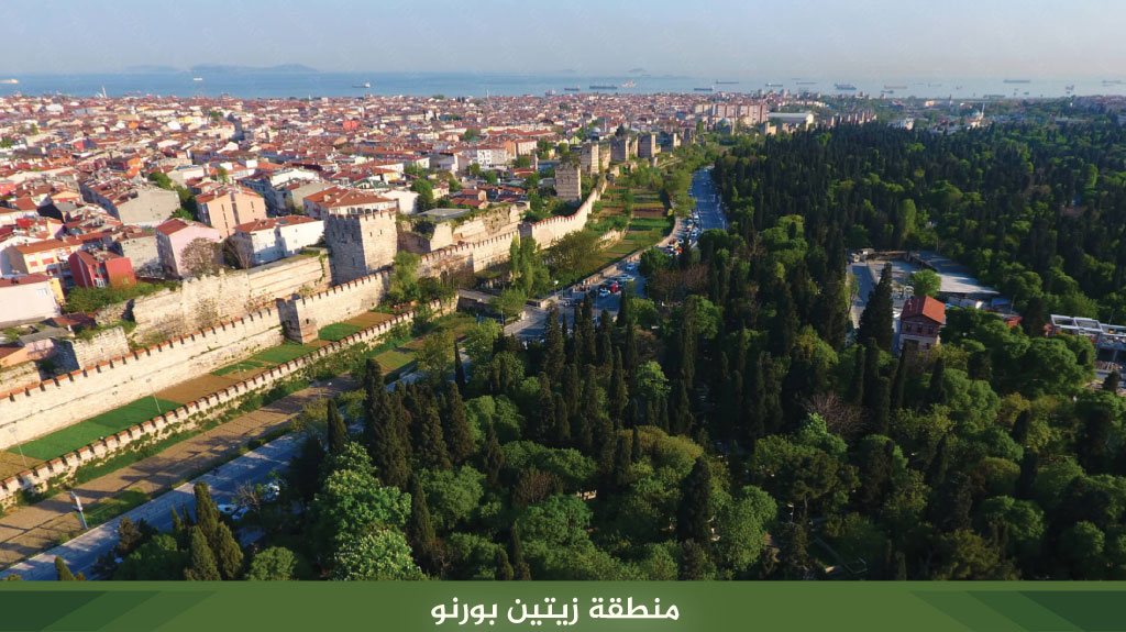 منطقة زيتين بورنو