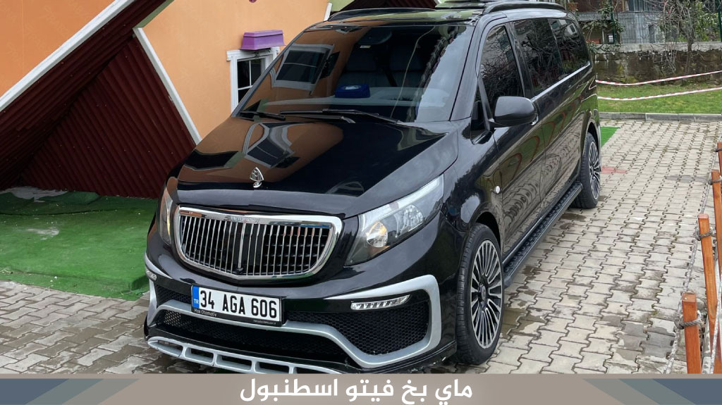 ماي-بخ-فيتو-اسطنبول