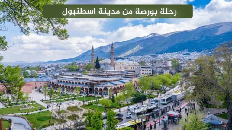 رحلة بورصة