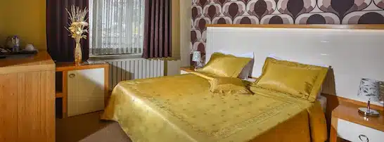 غرفة فندق هورون طرابزون