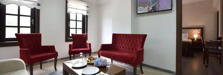 جناح مزدوج في زاغنوس باشا
